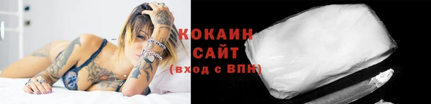 ПСИЛОЦИБИНОВЫЕ ГРИБЫ Новозыбков