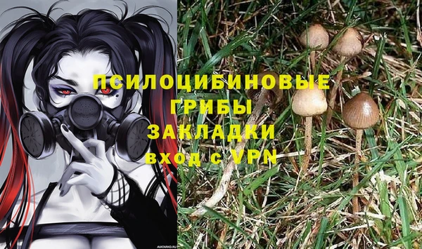 гидра Армянск