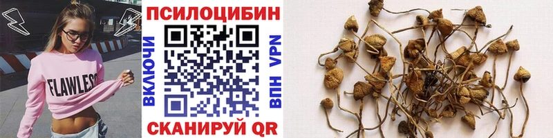 Галлюциногенные грибы ЛСД Бабаево