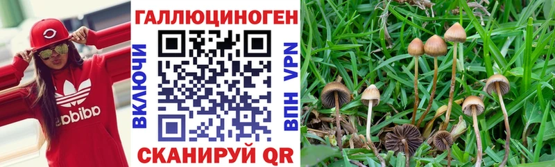 mega ссылки наркошоп Бабаево Псилоцибиновые грибы GOLDEN TEACHER